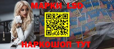 молекула духа Будённовск