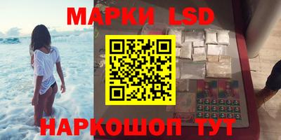 молекула духа Будённовск