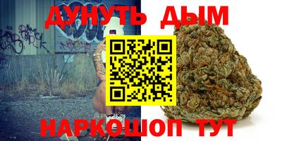 молекула духа Будённовск