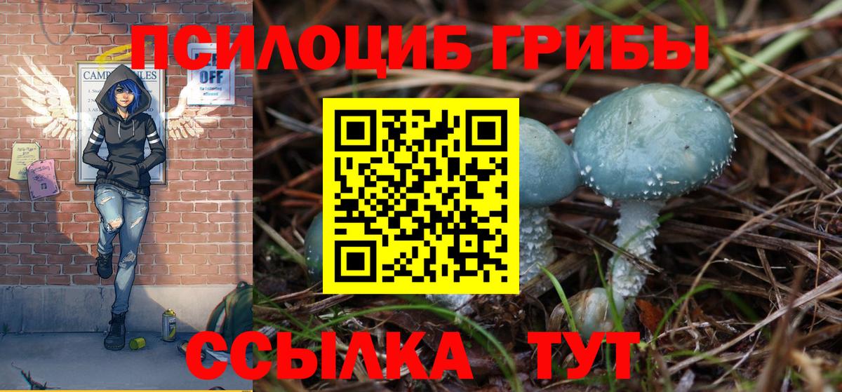 Псилоцибиновые грибы прущие грибы Муравленко