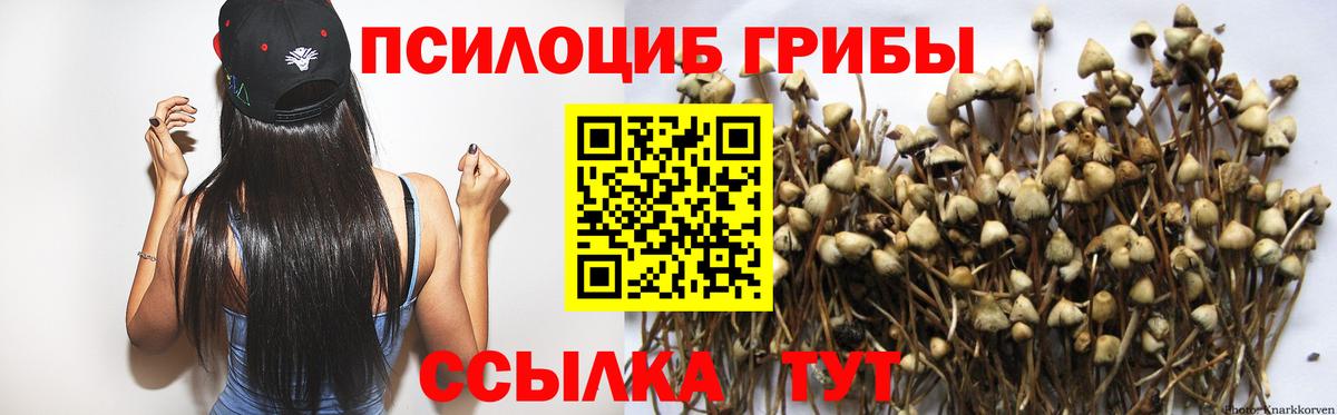 Галлюциногенные грибы Cubensis  купить наркотик  Муравленко  Вход с VPN 